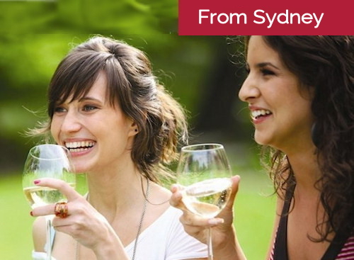 hunter valley winery tours from newcastle